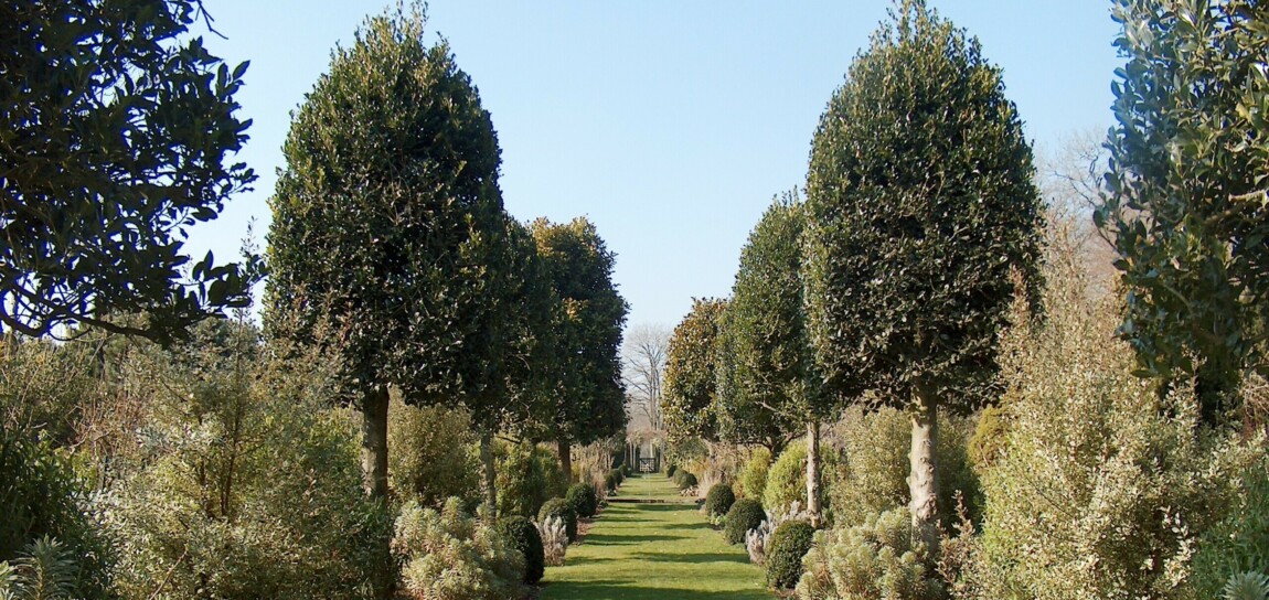 jardin à l'anglaise